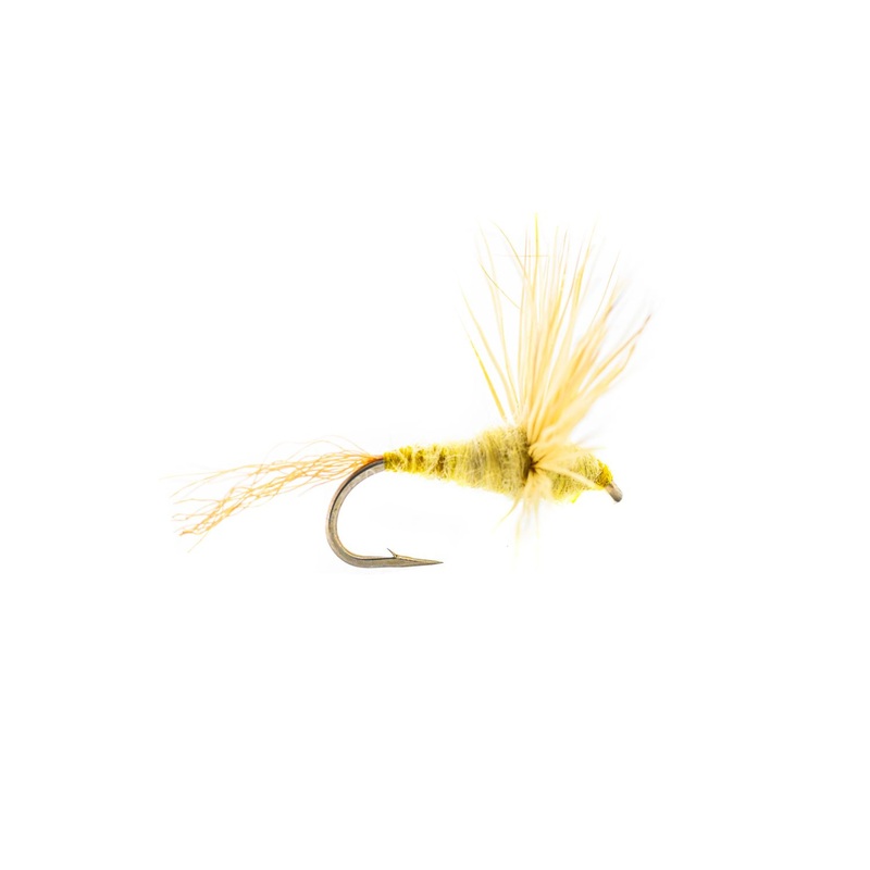 Rio’s Sparkle Dun – PMD (3-Pack) 18