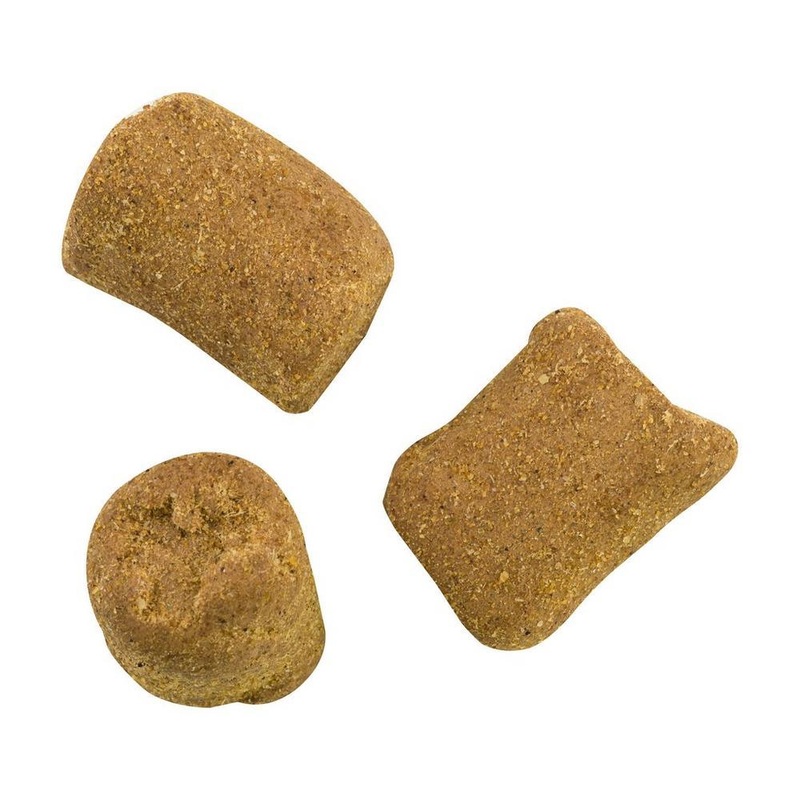 Berkley PowerBait Catfish Bait Chunks Blood & Cheese