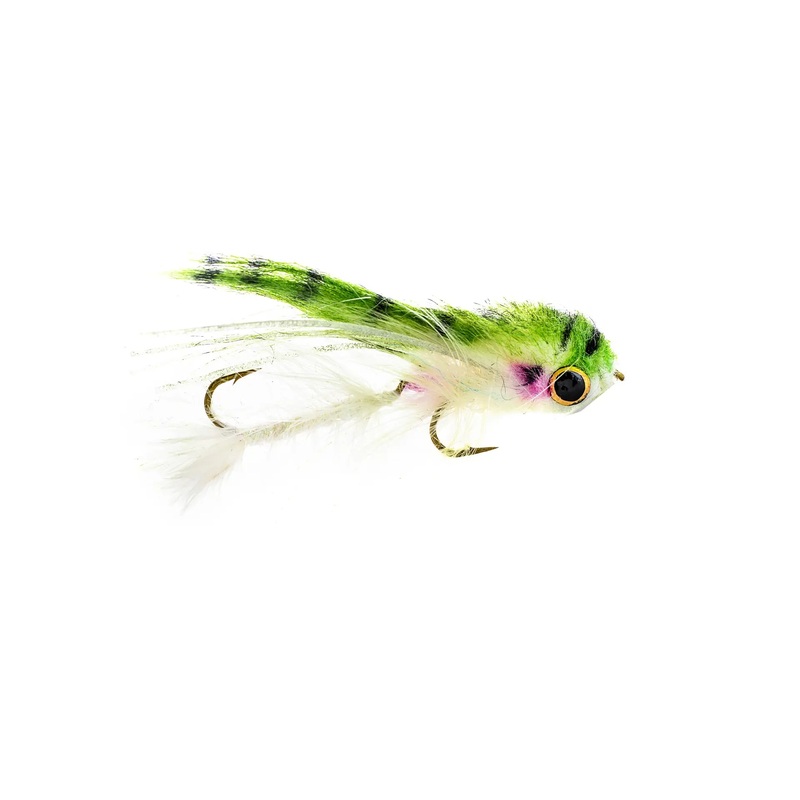 Umpqua Baby Gonga – Rainbow  (3-Pack) 8