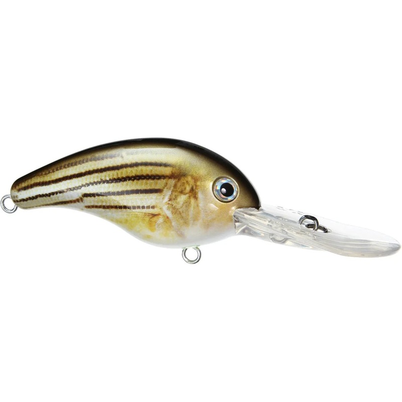 Strike King 10XD Crankbait Splatter back