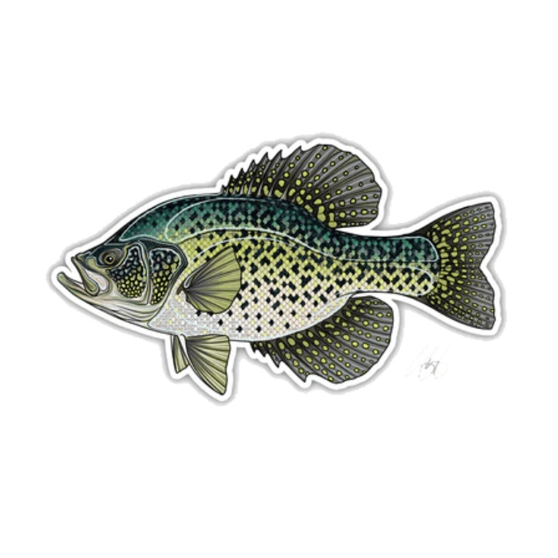 FISH DECALS BLACK CRAPPIE