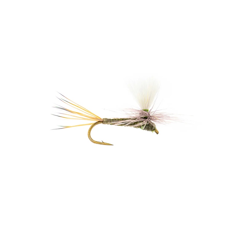 Montana Fly Company Olive Haze (3-Pack) 16