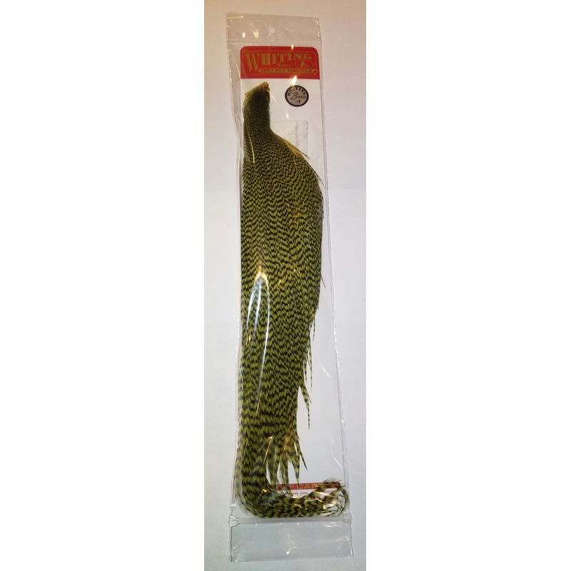 Whiting Farms Bronze 1/2 Cape Grizzly/Olive