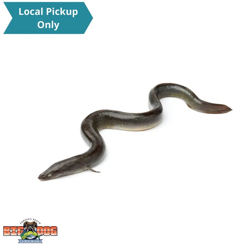 BIONIC BAIT FROZEN SWORD BAIT UNRIGGED EEL 2 PACK