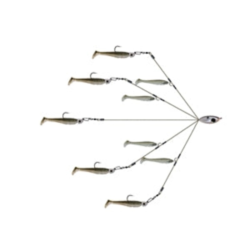 Picasso School-E-Rig Perfection Junior