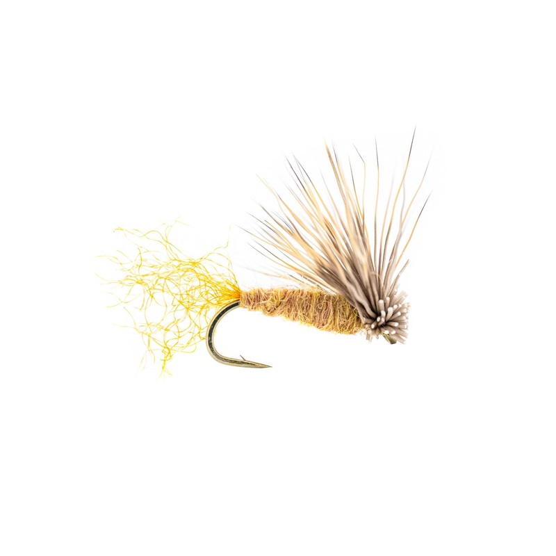 Umpqua X Caddis – Tan (3-Pack) 14