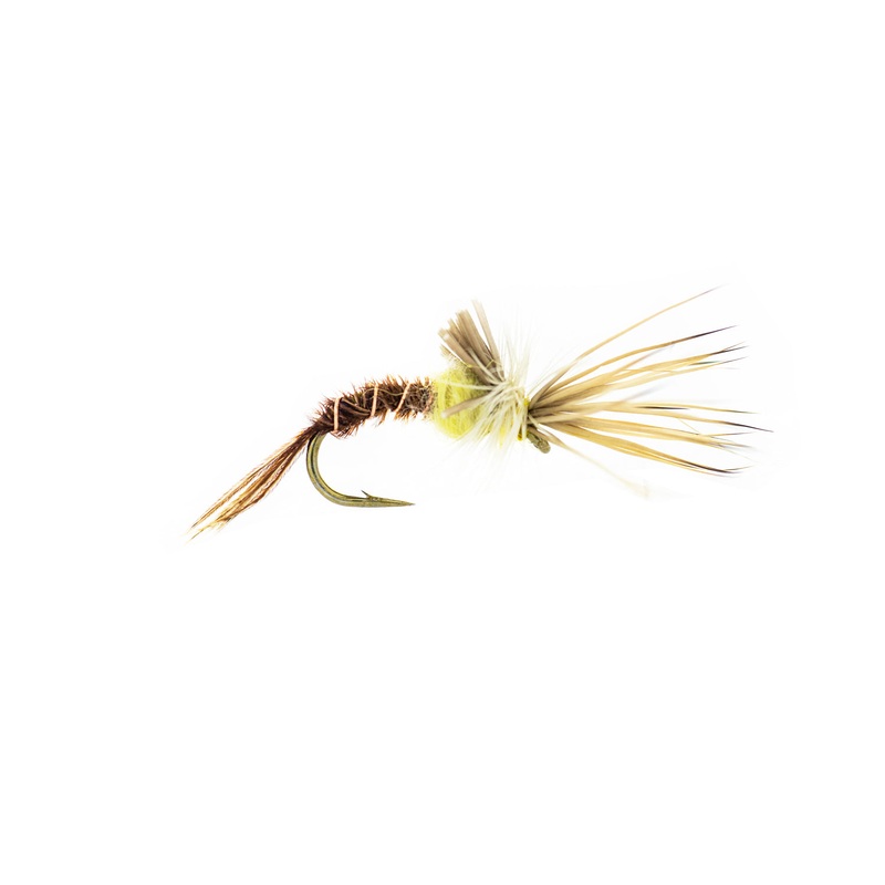 Rio’s PMD Challenged (3-Pack) 16