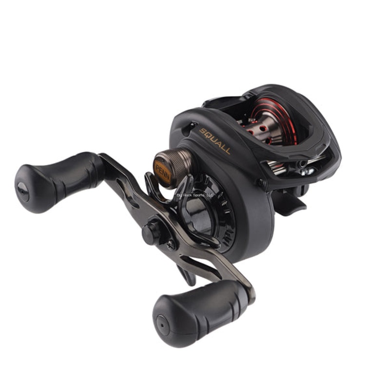 Penn Squall Low Profile Baitcasting Fishing Reels, Metal Frame SQL200LP