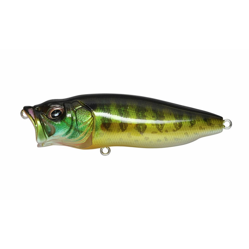 MEGABASS POPMAX PUMPKIN SEED
