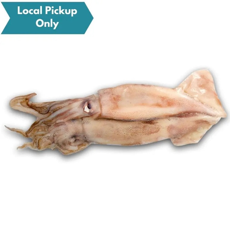 BIONIC BAIT FROZEN SWORD BAIT UNRIGGED SQUID 2 PACK