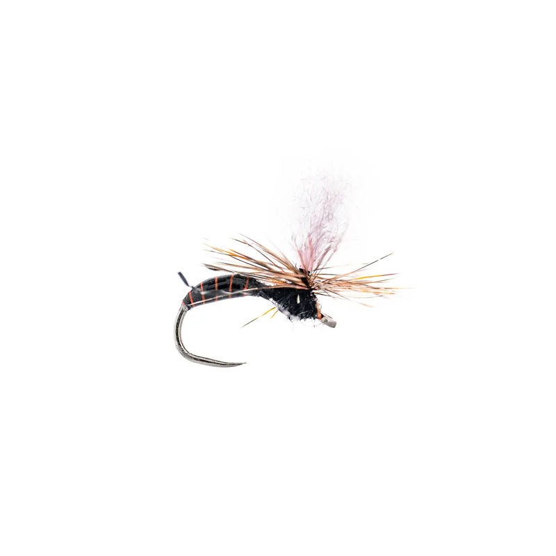 Montana Fly Company Saliga’s Epoxy Ant – Black (3-Pack) 14