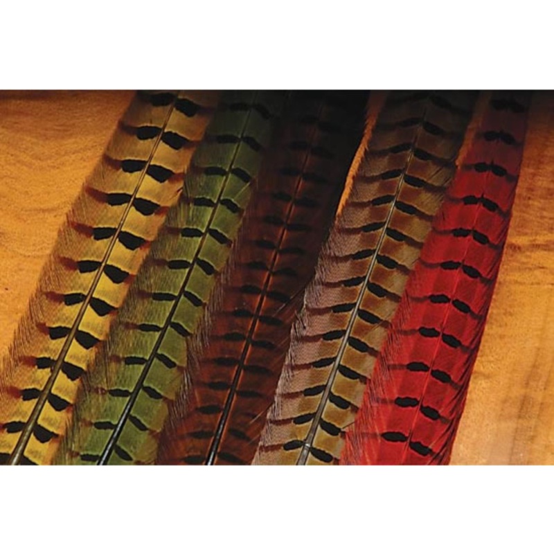 Wapsi Ringneck Pheasant Tail Feathers Natural