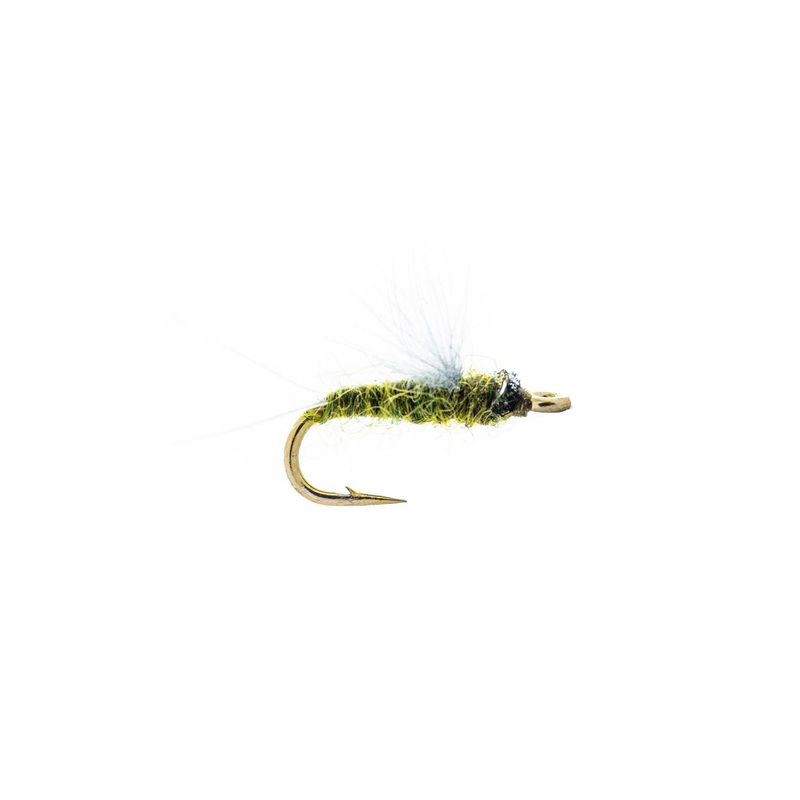 Solitude RS-2 – Olive (3-Pack) 20