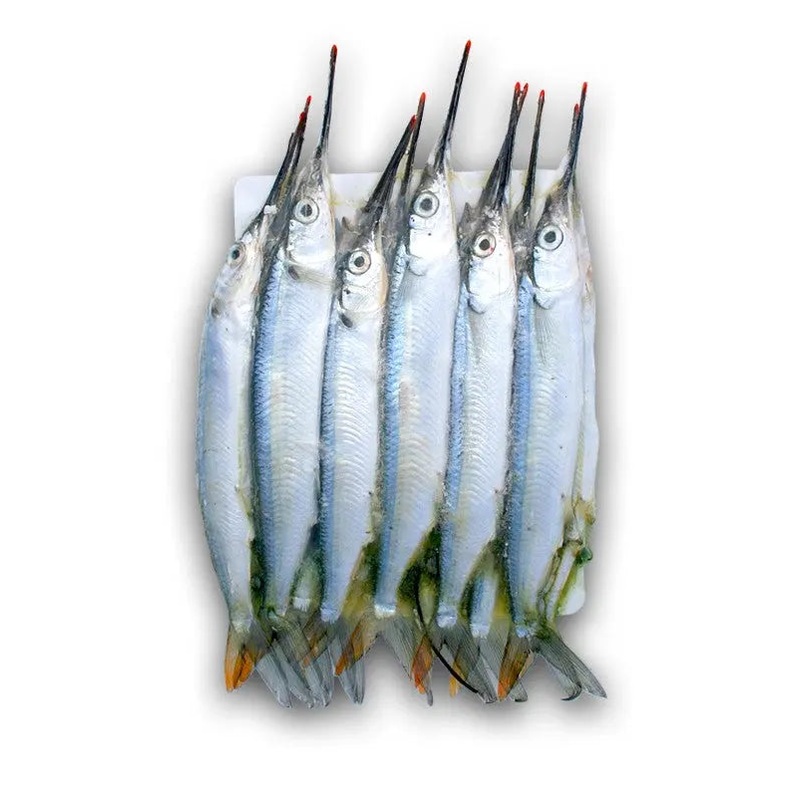 BIONIC BAIT FROZEN UNRIGGED MEDIUM BLACK LABEL BALLYHOO 12 PACK