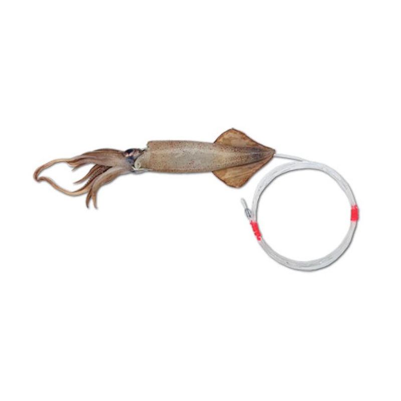 BAITMASTERS FROZEN DOLPHIN MUNCHIE RIGGED SQUID 2 PACK