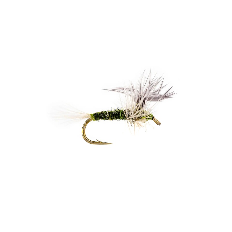 Solitude’s BWO Thorax  – BWO (3-Pack) 16