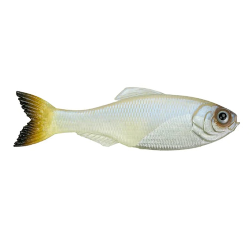 6th Sense Panorama 6.5″ (2 Pk) Clearwater Shad