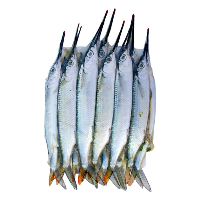 BIONIC BAIT FROZEN UNRIGGED PEEWEE BALLYHOO 12 PACK