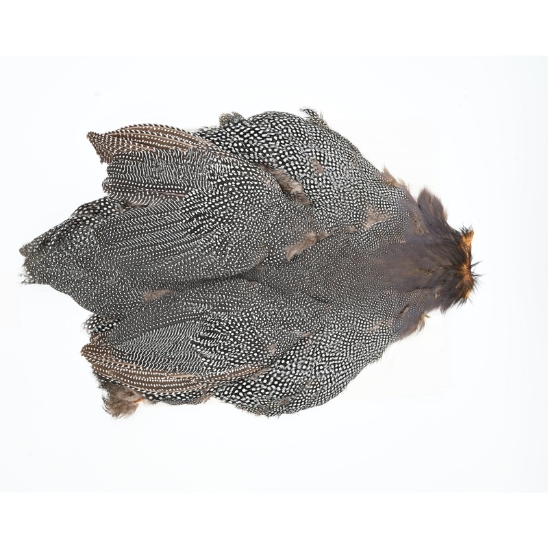 Whiting Guinea Fowl Natural Gray Speckled Medium