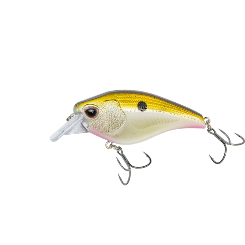NOMAD DESIGN ATLAS 70 SQUAREBILL CRANKBAIT Brown Craw 70