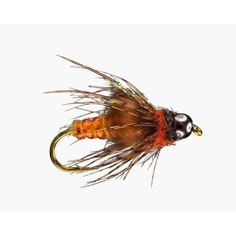 RIO’s Morrish Deep October Pupa #8