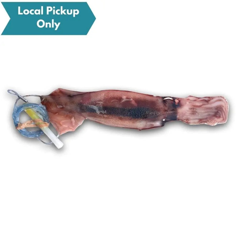 BIONIC BAIT FROZEN NIGHTTIME SWORD BAIT RIGGED SQUID WITH LIGHT