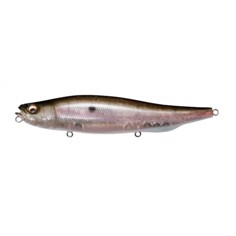 Megabass Megadog Topwater Iwashi*