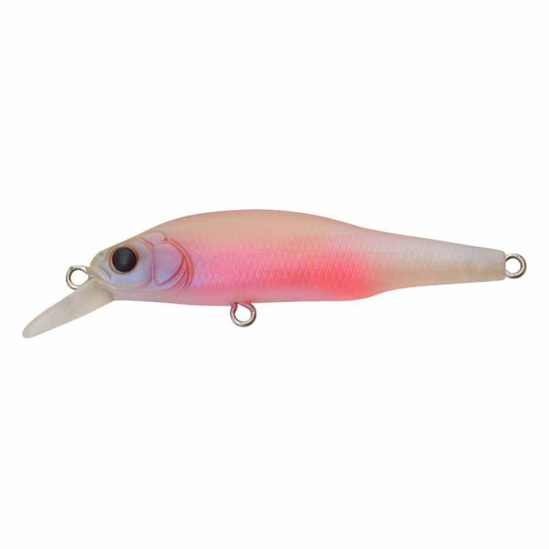 Megabass X80 Jr (BFS) Baby Kingyo