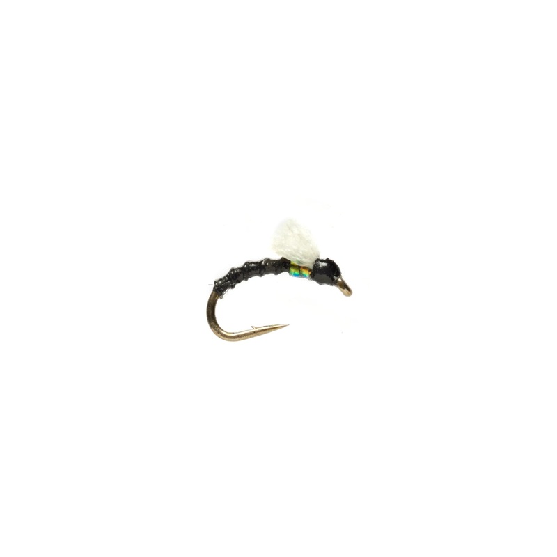 Fulling Mill – BOROFF’S FOAMIE HOMIE BLACK #20