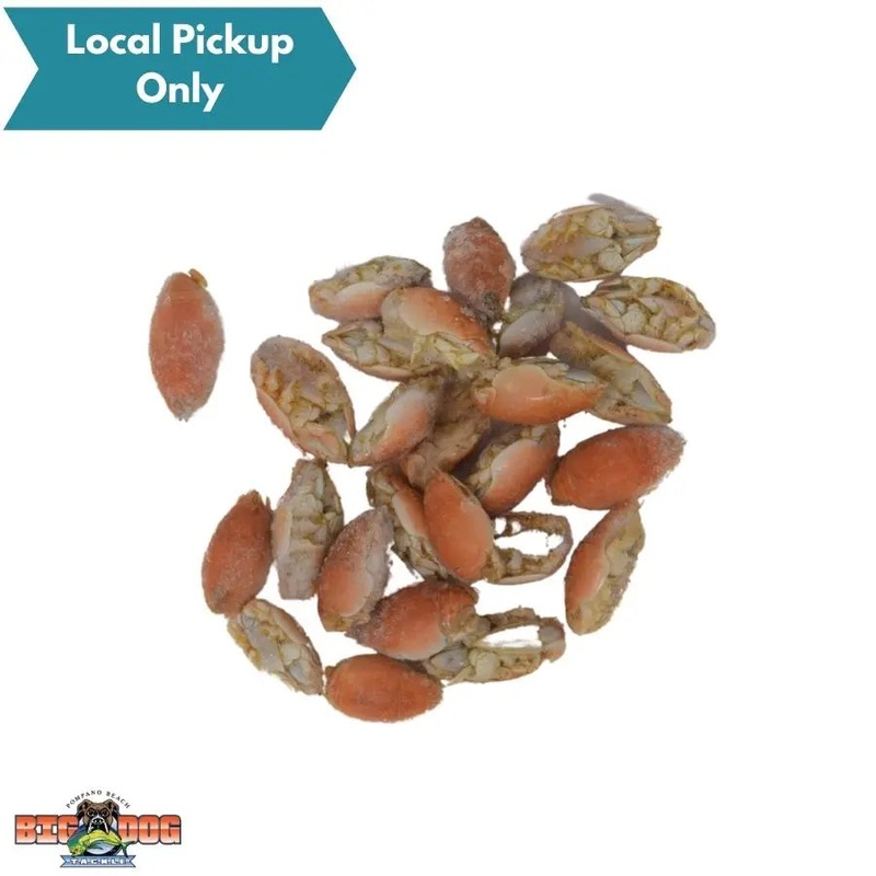 BIONIC BAIT FROZEN SAND FLEAS 24 PACK