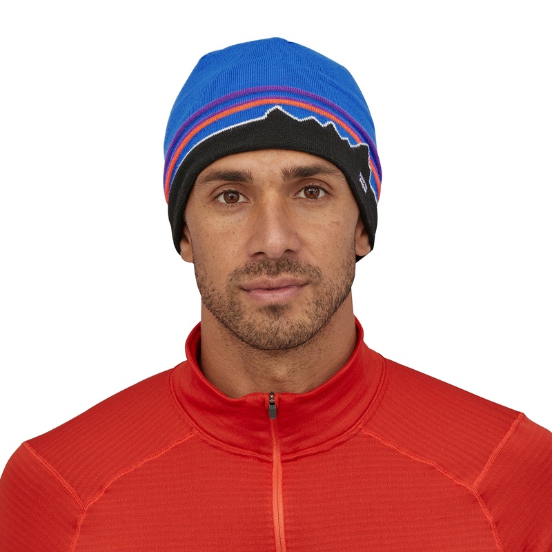 Patagonia Beanie Hat Climbing Trees Knit: Basin Green / CTBA OSFM