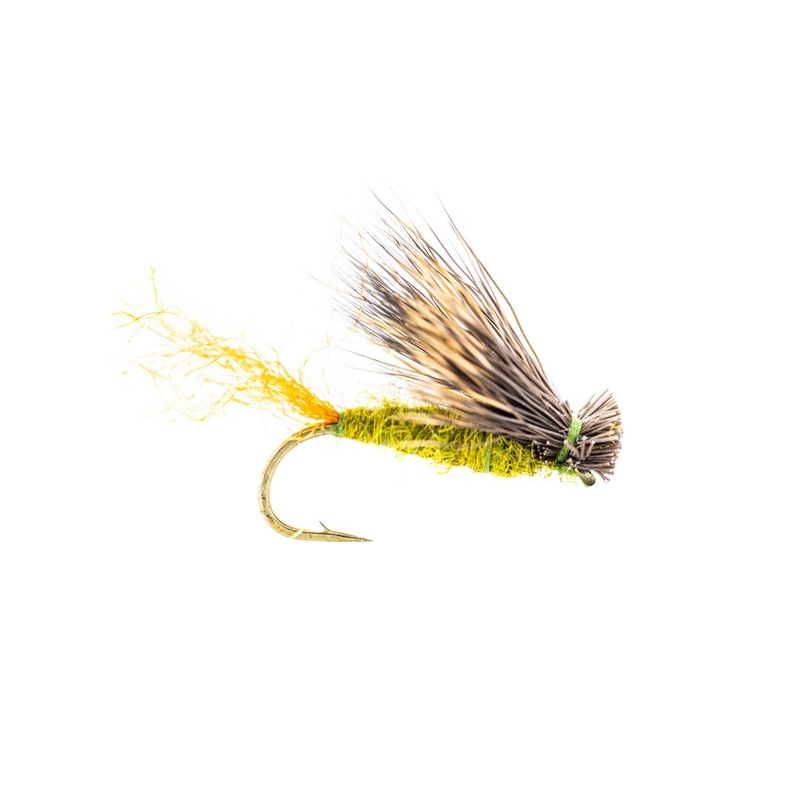 Umpqua X Caddis – Olive (3-Pack) 14