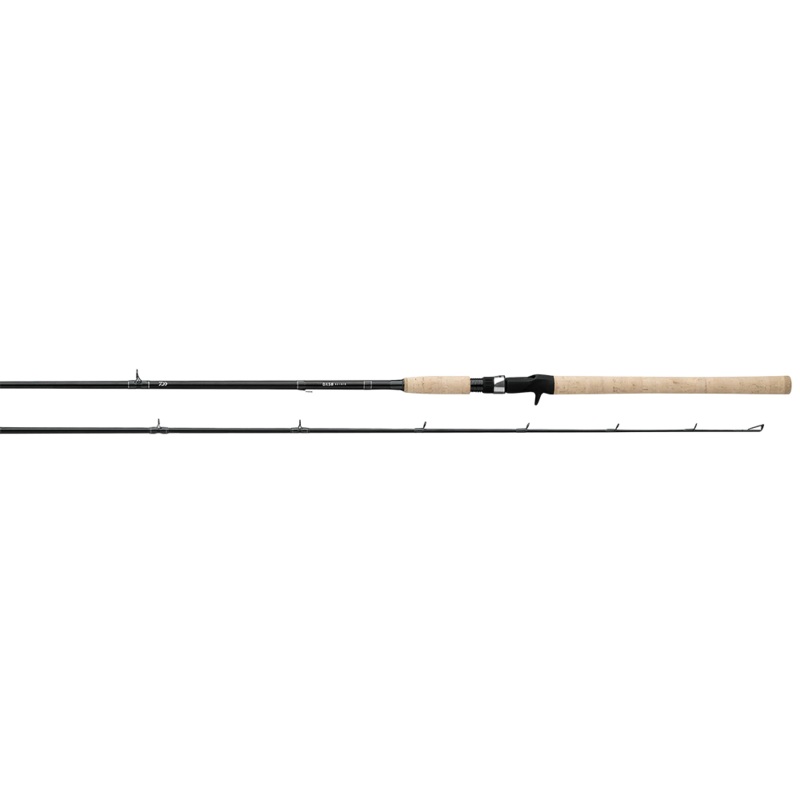 DX Swimbait Casting Rod 8′ H F