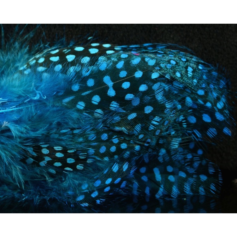 Fish Hunter Jumbo Guinea Dark Turquoise / Kingfisher Blue