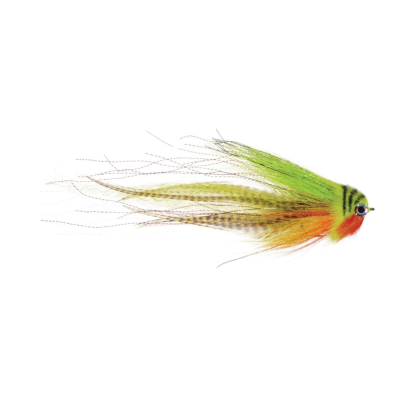 Rainy’s Siron’s Girl Next Door Fly Firetiger