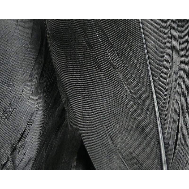 Select Goose Shoulder Black