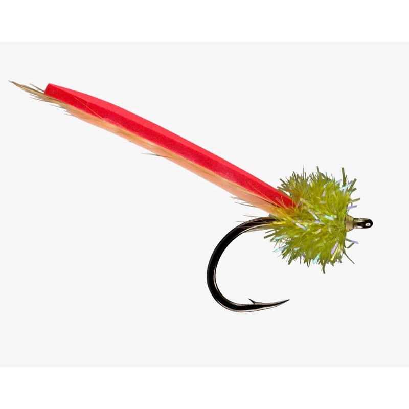 RIO’s Palolo Worm Olive Head