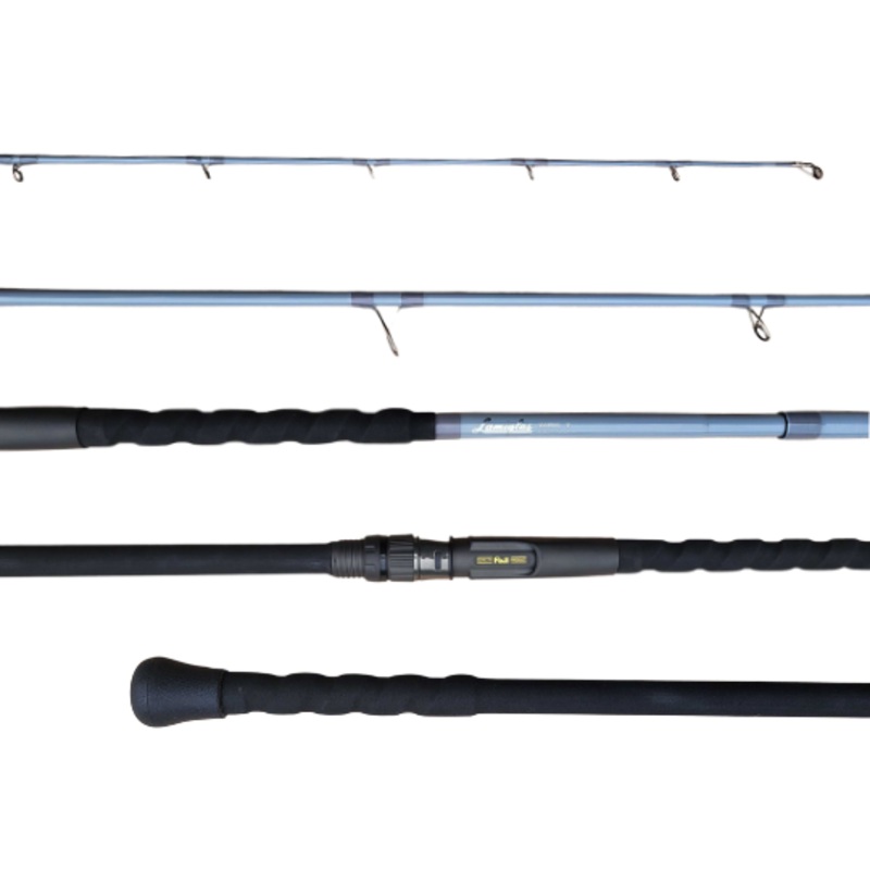 Lamiglas SuperSurf 3G Pro Spinning Rods SSS10MHS