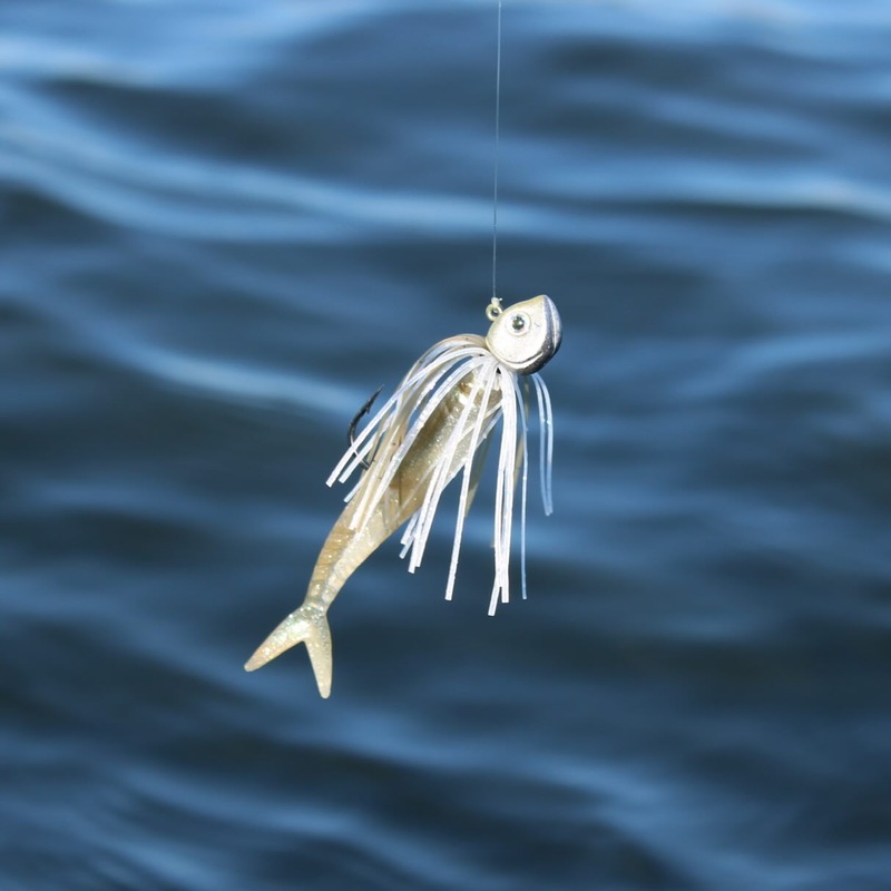 GREENFISH TACKLE TUTU JIG Albino 1/8 oz – 3/0