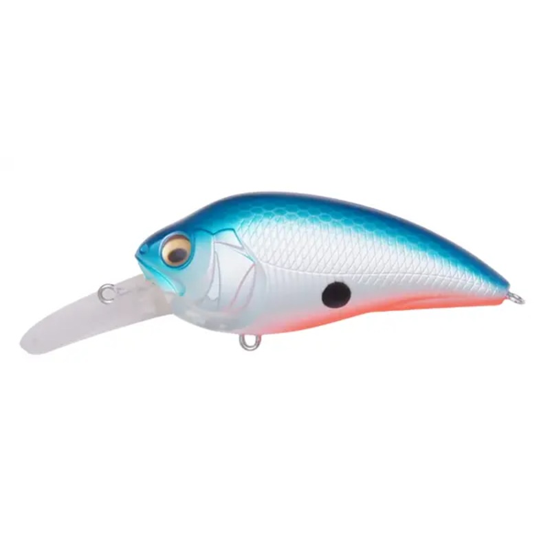 Megabass Super-Z Z2 Do Chart