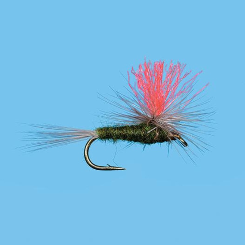 Solitude Hi-Vis BWO 16