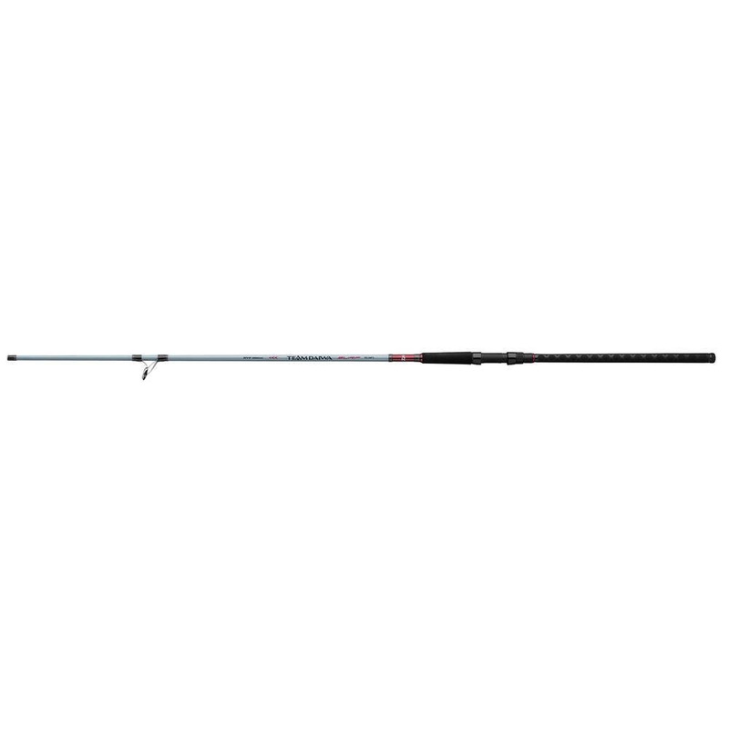 Daiwa Team Daiwa Surf Spinning Rods TDSF902MFS