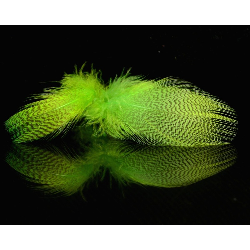 Spirit River UV2 Mallard Flank Chartreuse