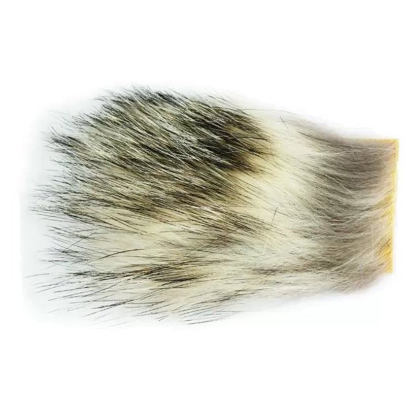 Wapsi Badger Small