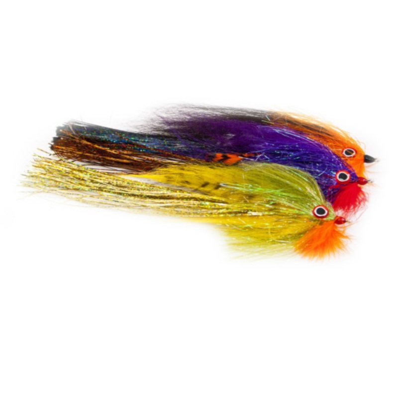 Rainy’s Jared’s Outlaw Orange/Black