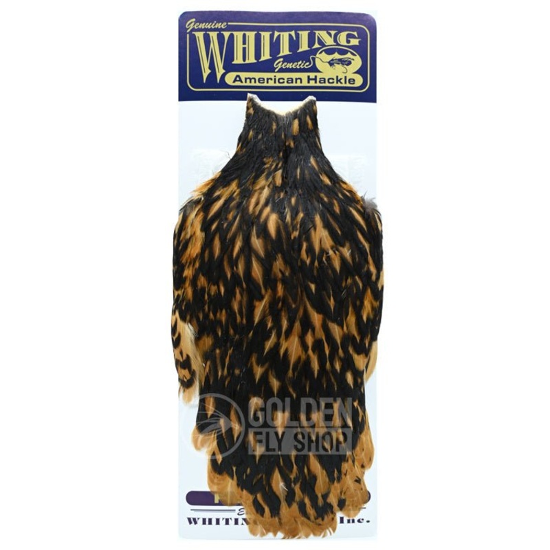 Whiting – American Hen Cape Black