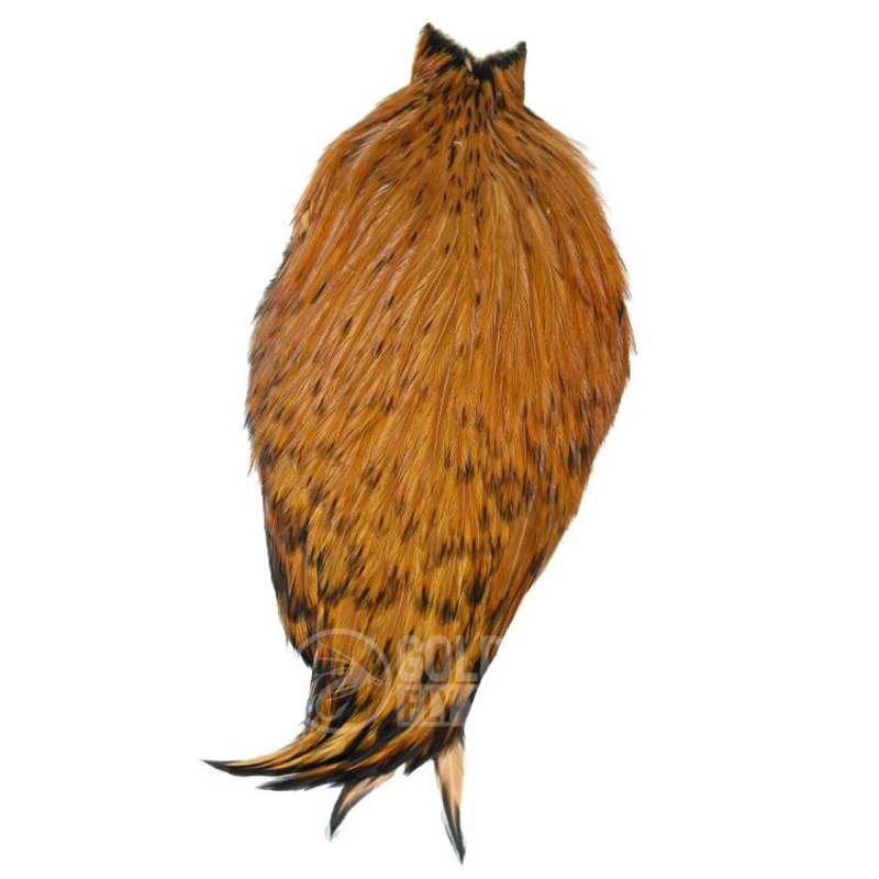 Whiting – American Rooster Cape Black