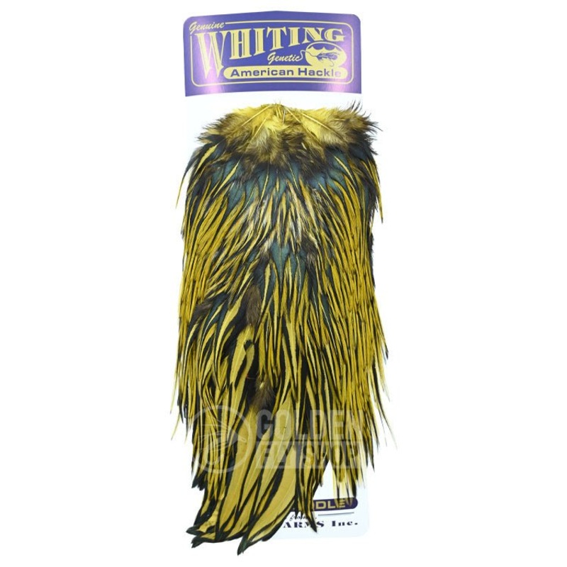 Whiting – American Rooster Saddle Black
