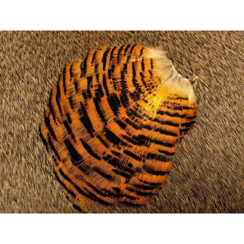 Nature’s Spirit – Golden Pheasant Tippet Section – Natural